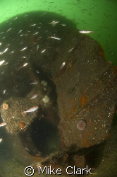 Rudder and prop of the Mara with a nice school of fish by Mike Clark 